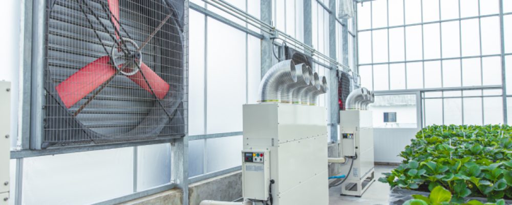 indoor-greenhouse-agriculture-farm-air-ventilator-2026-01-08-06-30-10-utc (1)